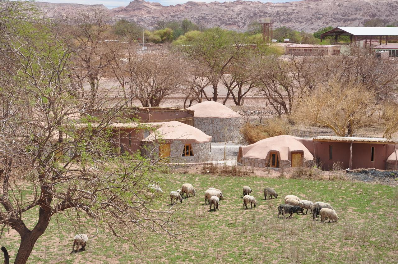 Ckamur Atacama Ethno Lodge & Spa 圣佩德罗·德·阿塔卡马 外观 照片